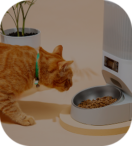 صحون وشربيات