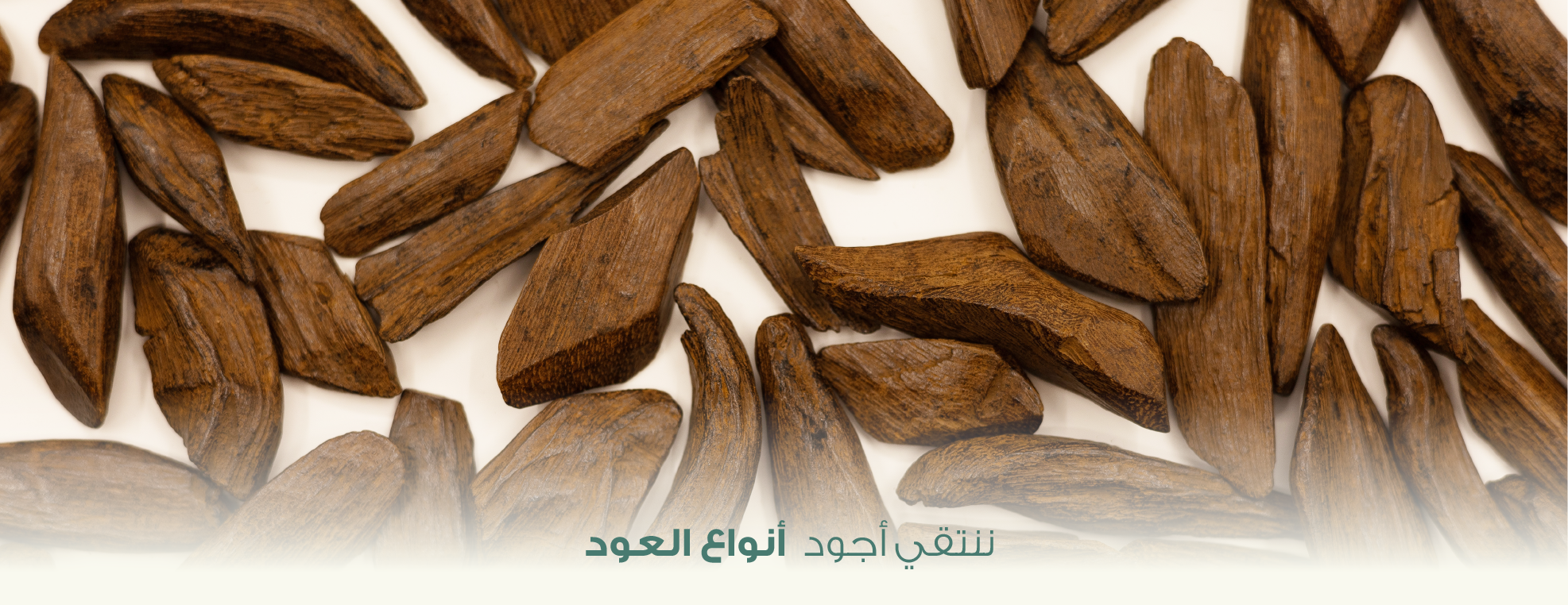 سحابة أجـا image-slider-1