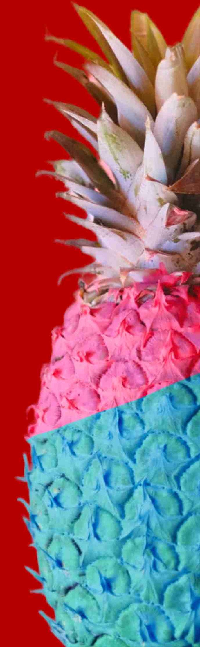 اقتصاد استثمار اسهم مالية