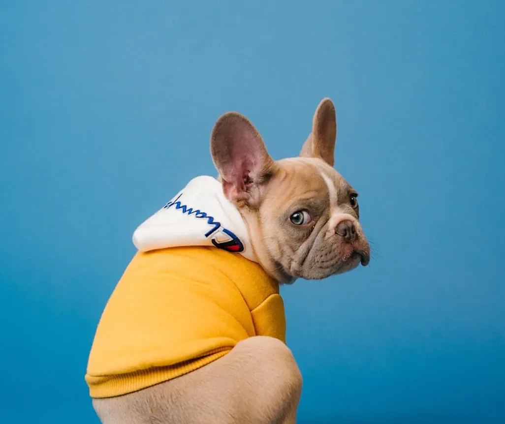 تقييمات العملاء