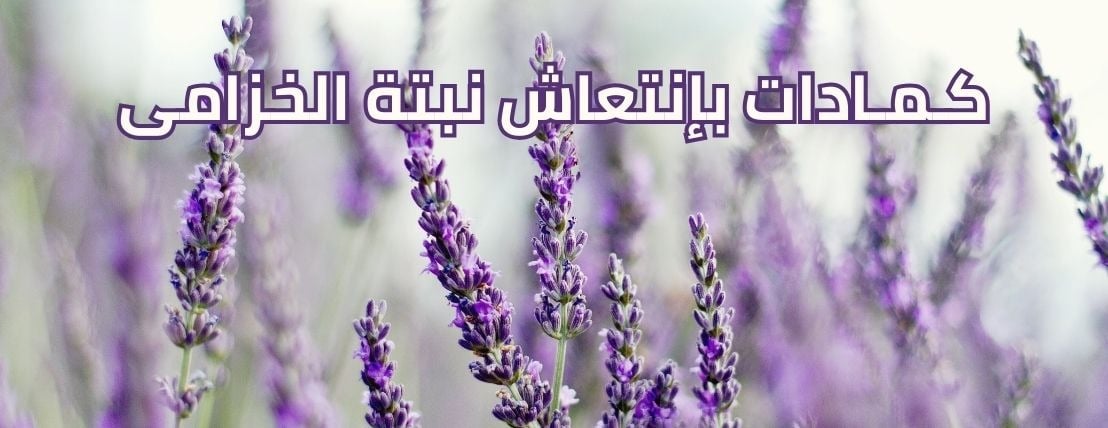 الكمادة الدافئة image-slider-2