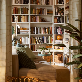 خزائن الكتب