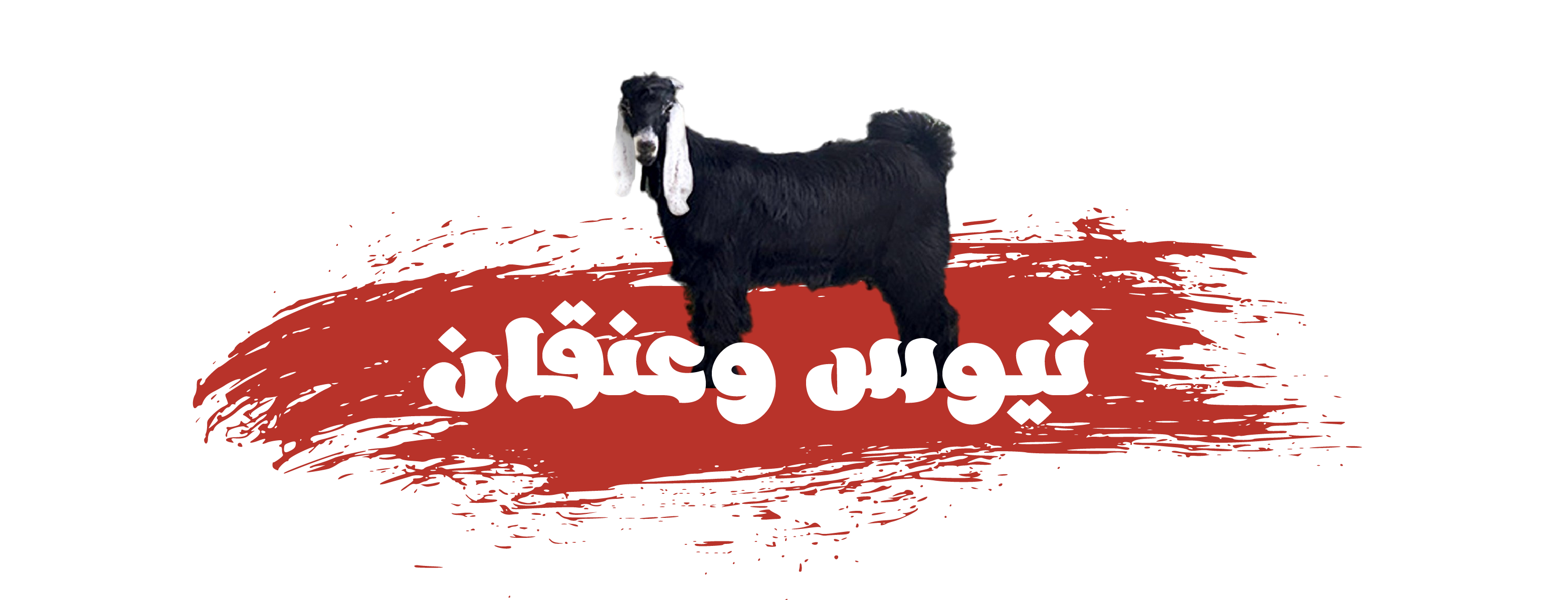 mojan image-slider-0