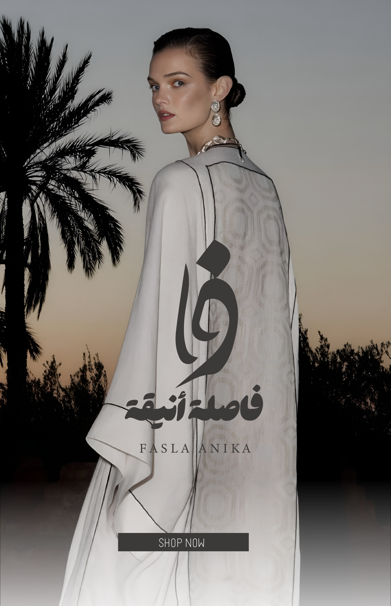 فاصلة أنيقة image-slider-0