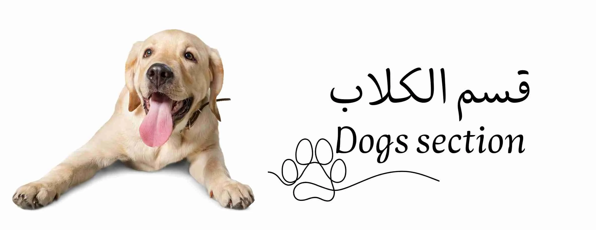 بيت شوب - الحساب الرسمي الموثق image-slider-0