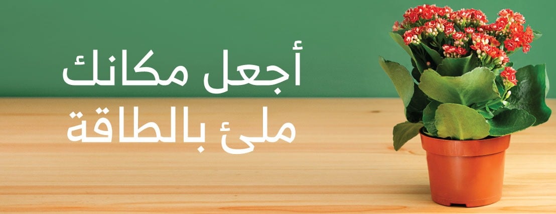 حديقتي image-slider-1