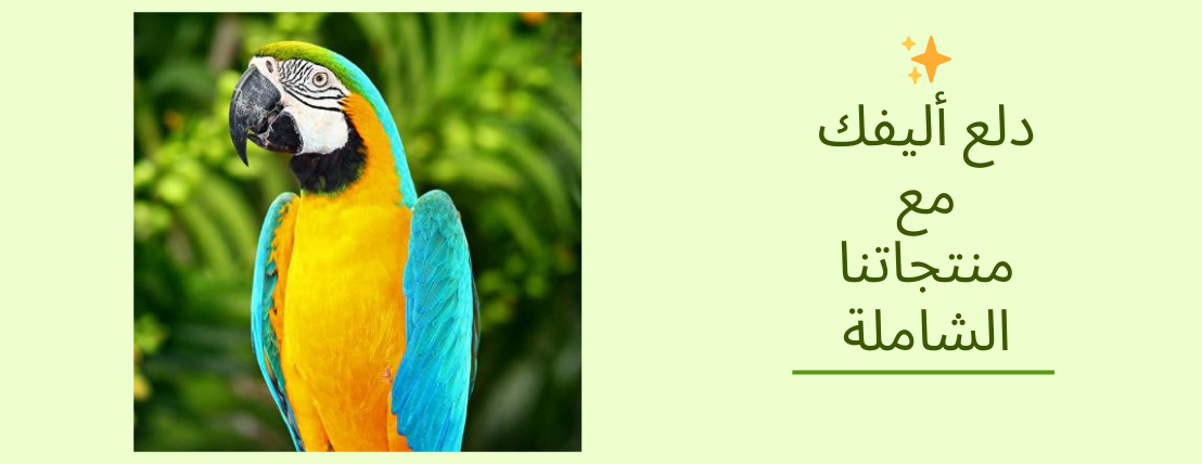 دلع أليفك image-slider-1