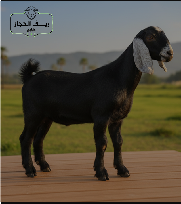 Special products slider