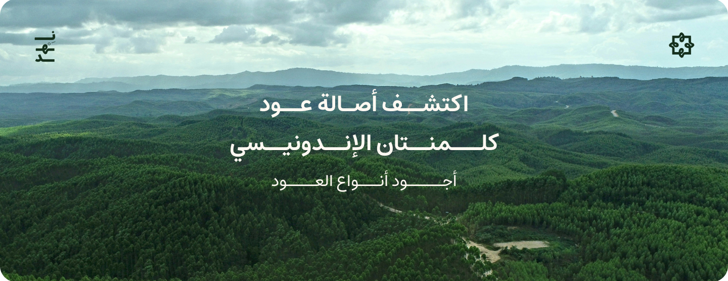 نِهد image-slider-2