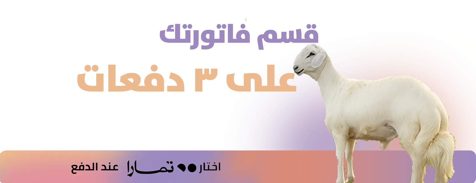 مواشي الفاخر image-slider-2
