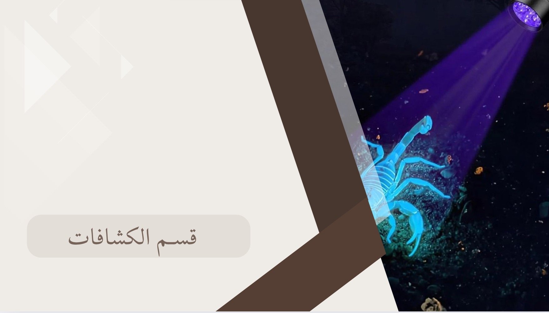 fixed banner