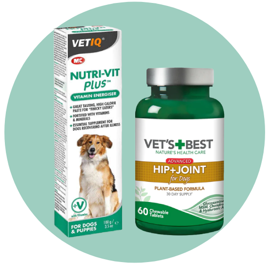 مكملات للكلاب