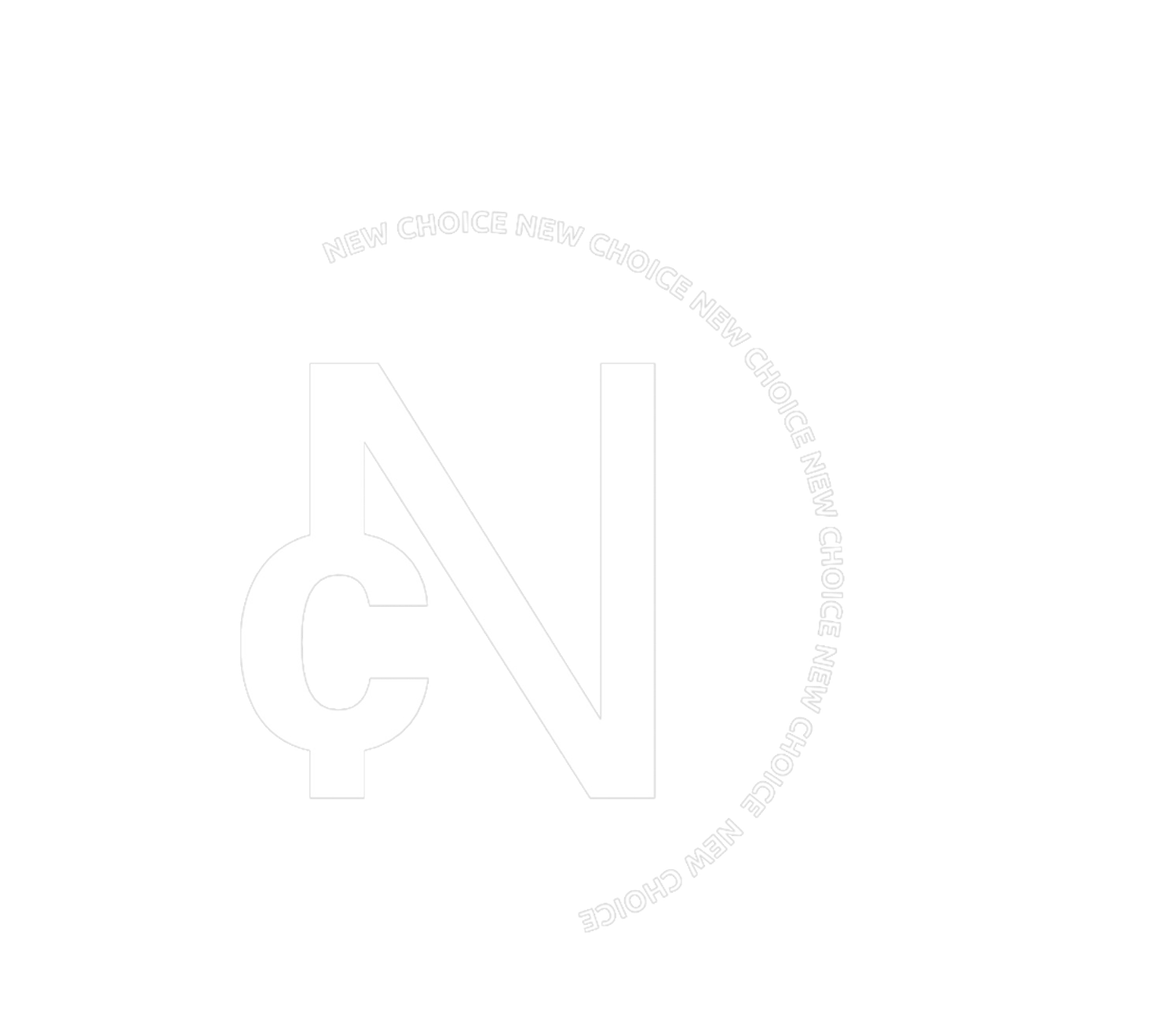 الاختيار الجديد