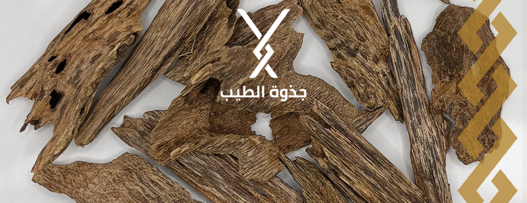 جذوة الطيب image-slider-1