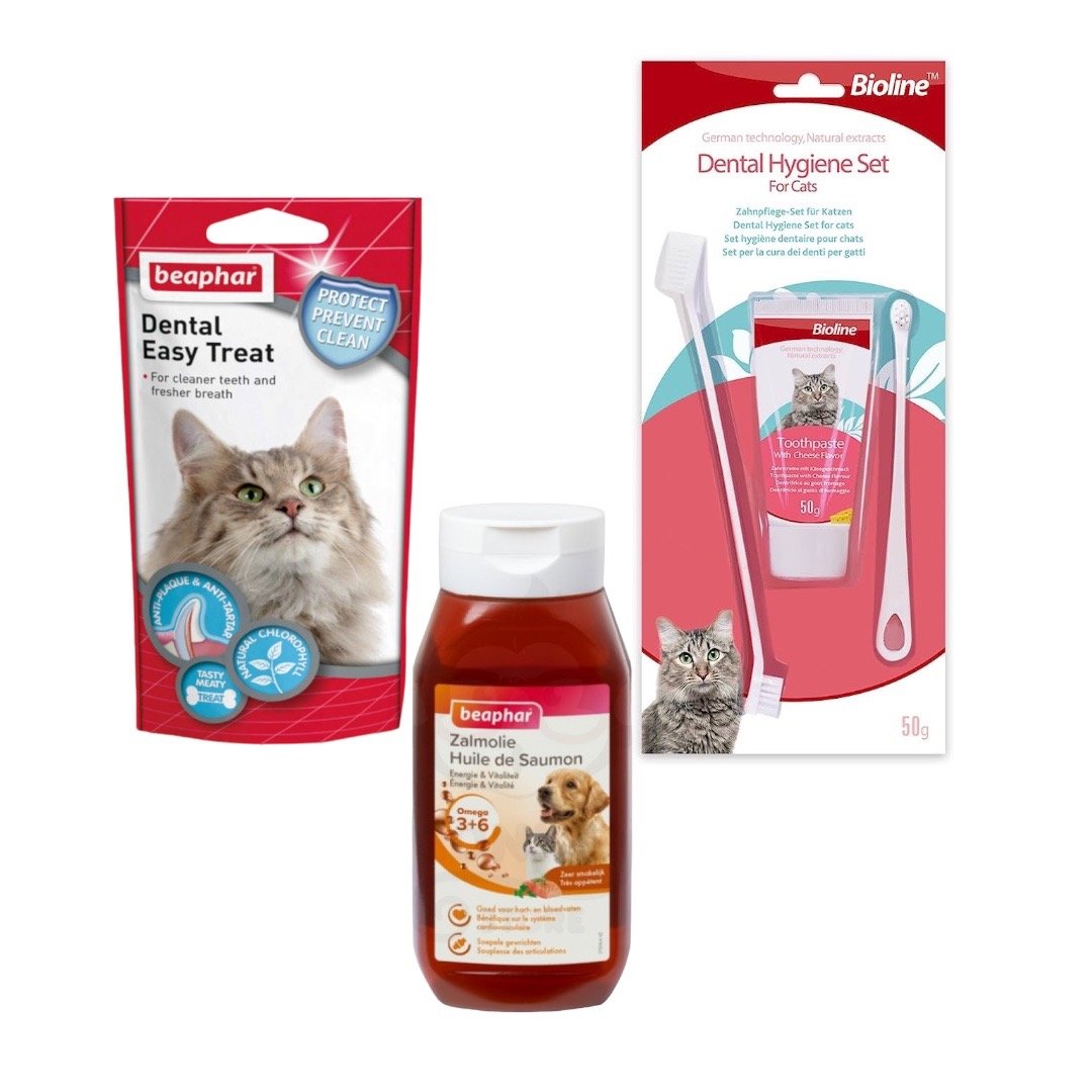 العنايـة الصــحيـة