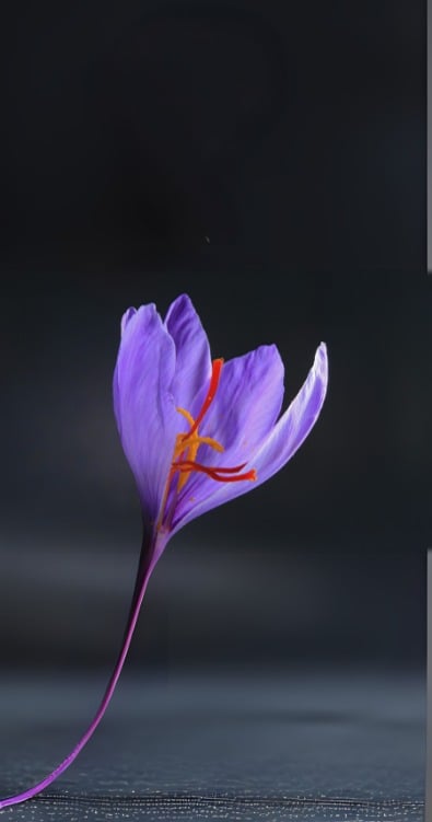 img-1