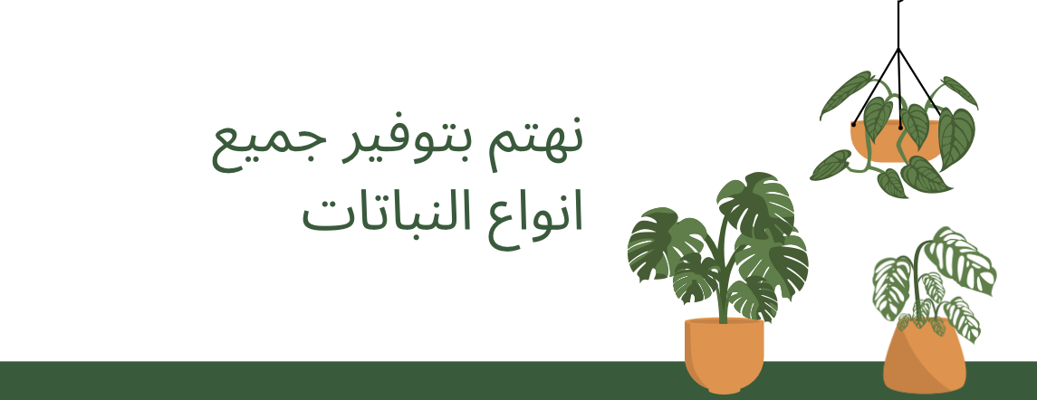 متجر مشتل الوافي | Alwafi Nursery image-slider-0