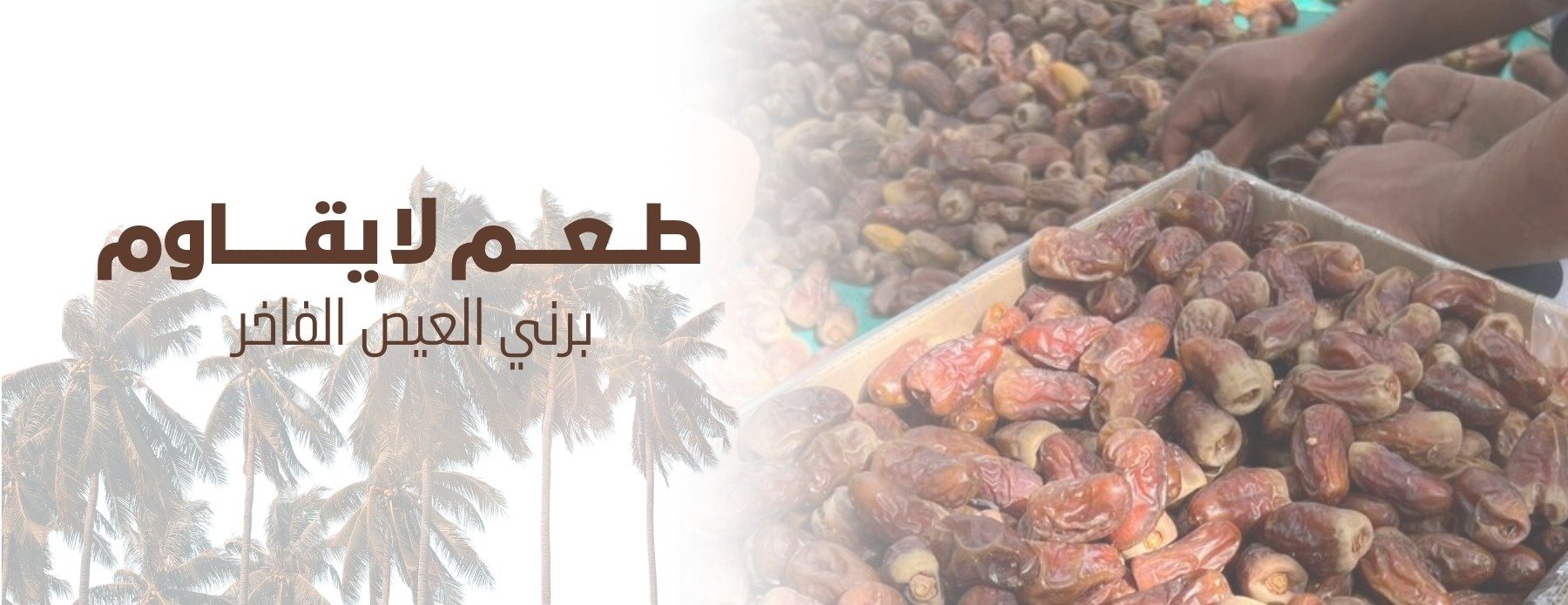 مزارع العايش للتمور image-slider-0