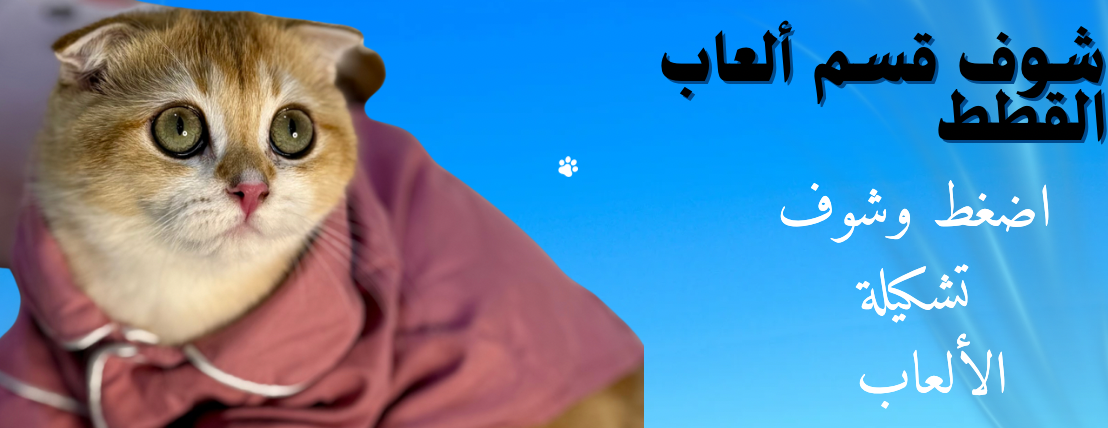 قطط مارشميلو image-slider-0