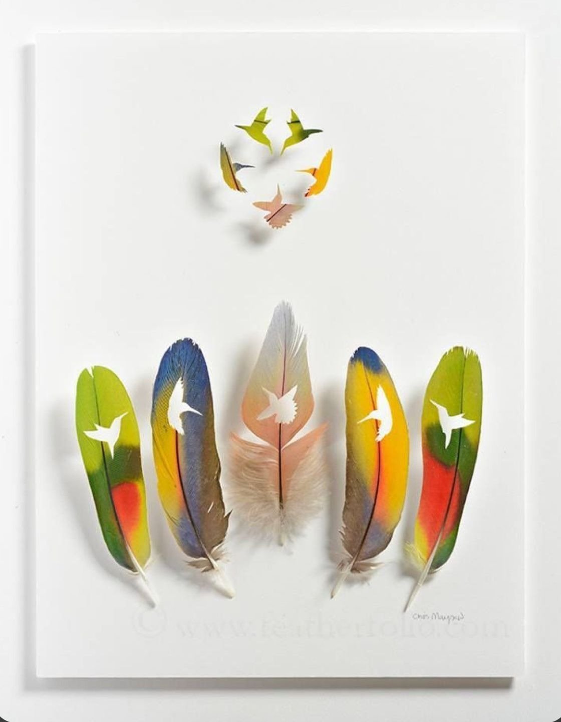 فيتامينات ومعادن طيور