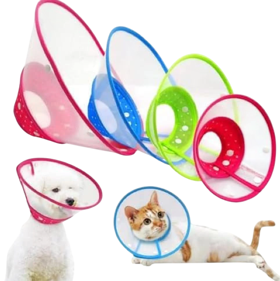 الإكسسوارات