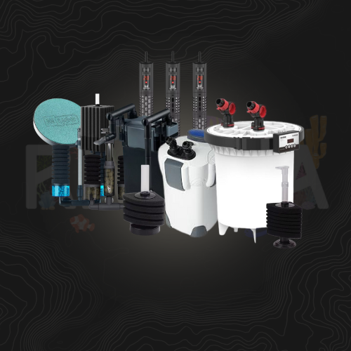 https://cdn.salla.sa/form-builder/Wk2V1GFykTNAI1UYD0cccnhxdzf0r4JifPPYRmlo.png