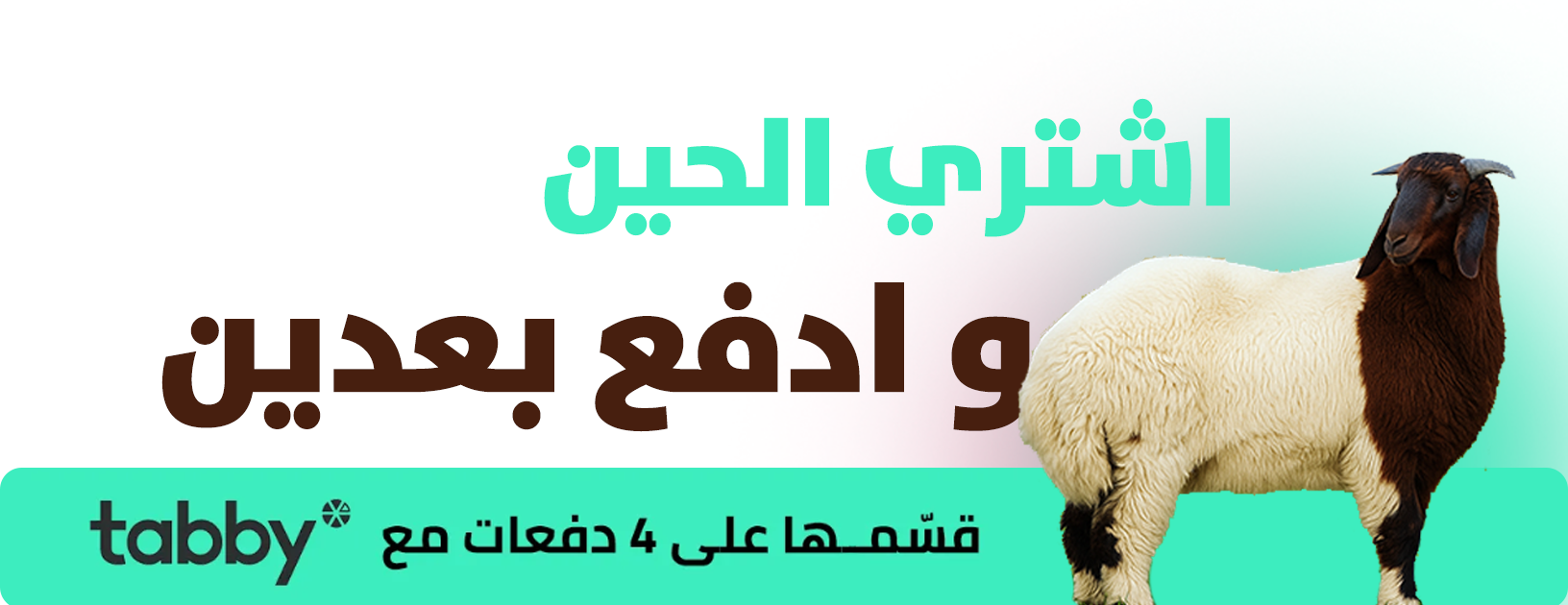 مواشي الفاخر image-slider-1