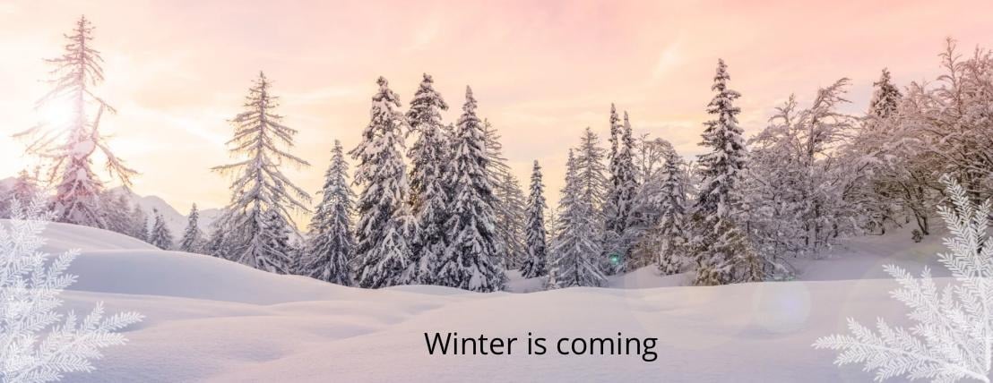 Elegant Veil image-slider-0