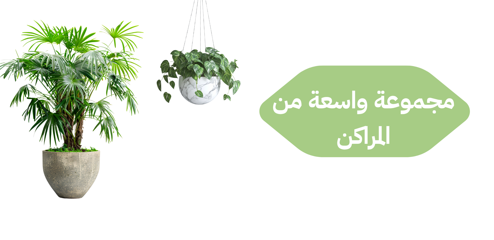 category banner