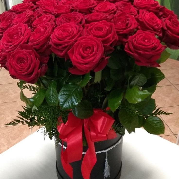 مزهريات متنوعه image