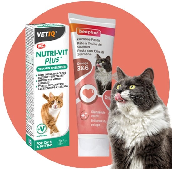 مكملات للقطط