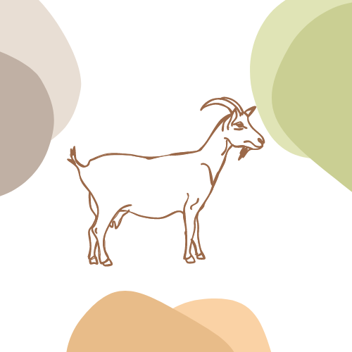 قسم التيوس-