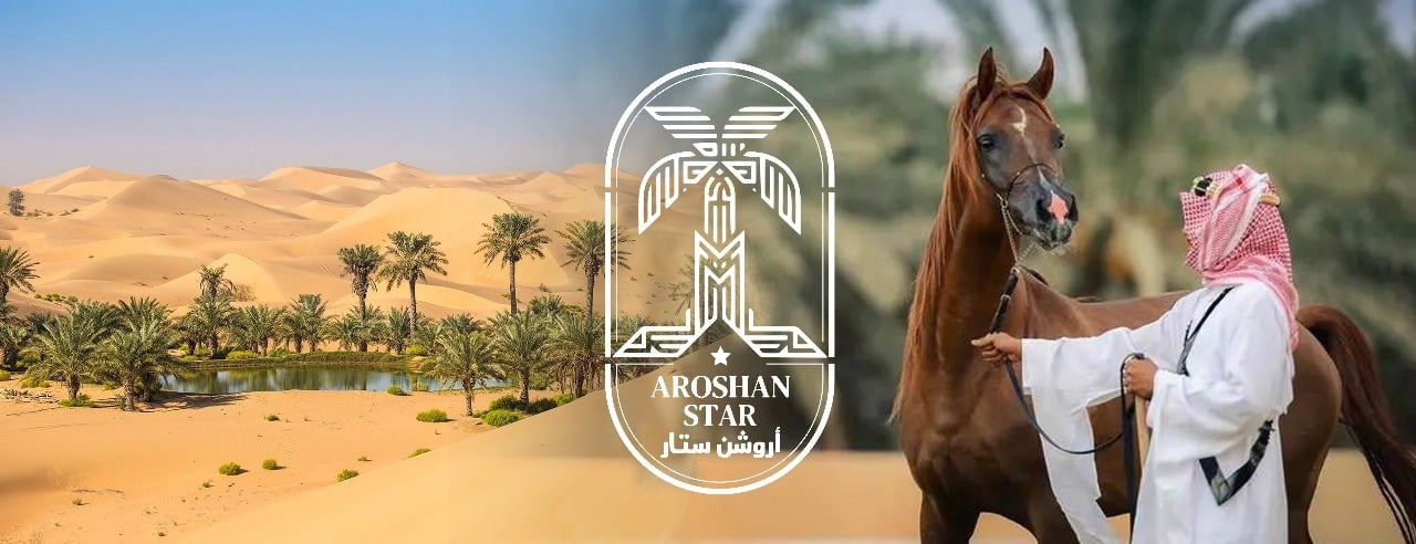 مؤسسة روشن ستار للتجارة