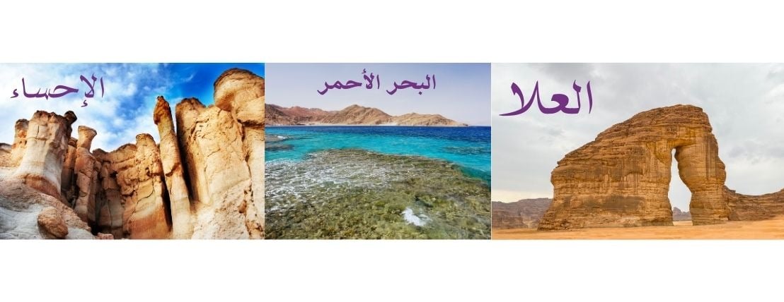 Bonsaihealing image-slider-0