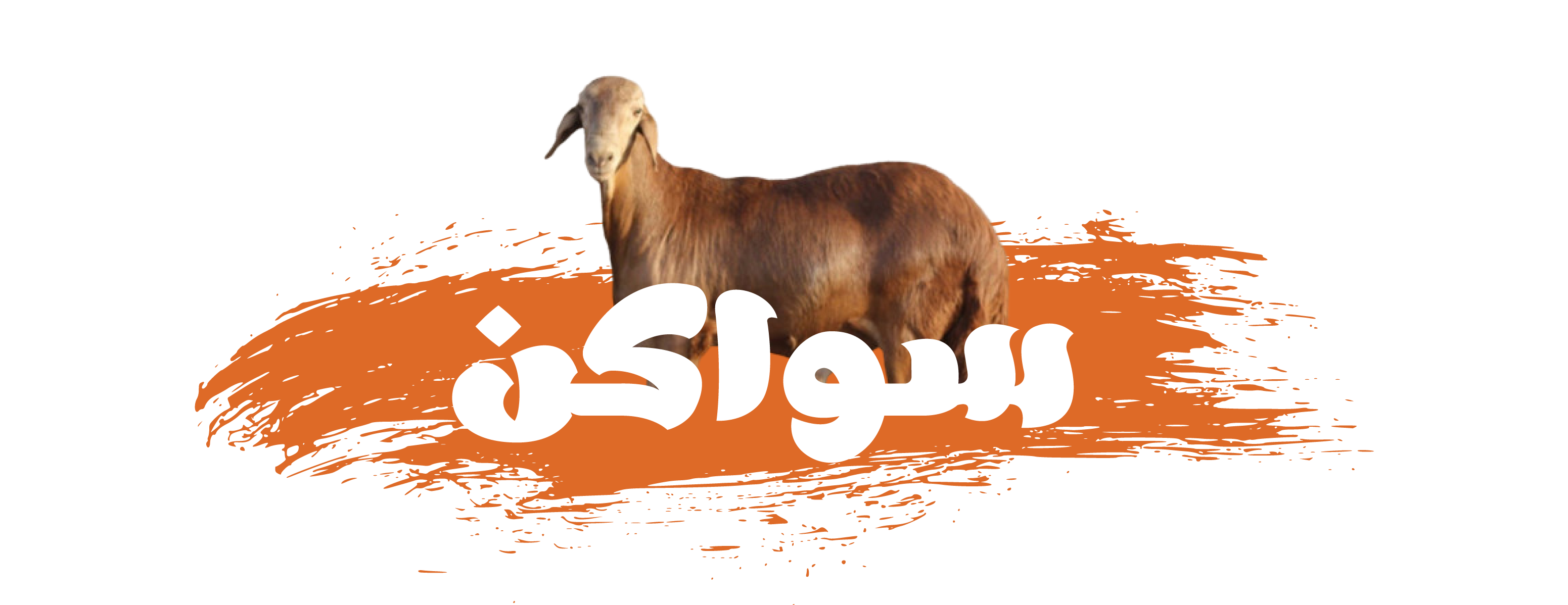 mojan image-slider-0