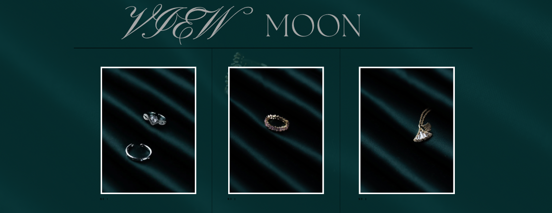 Moon view image-slider-0