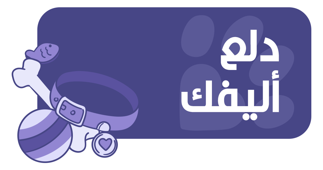 بيتو سيتي | Peto city image-slider-1