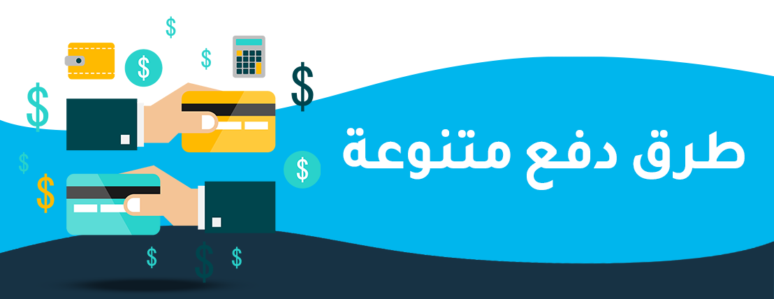 Digital Zorro image-slider-1