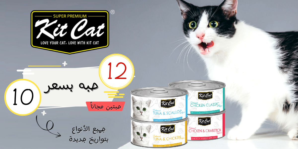 العروض الحصرية 🆕 💝