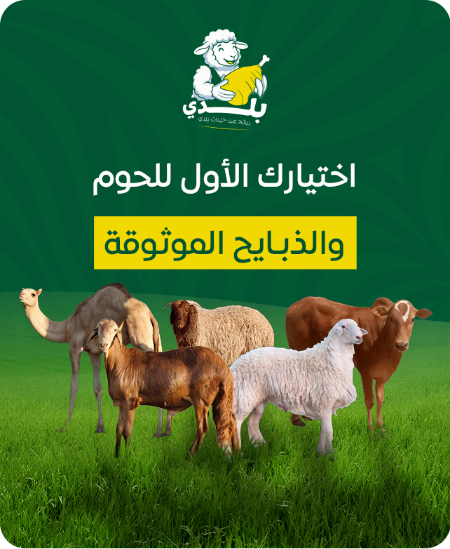 بلدي للحوم الطازجة