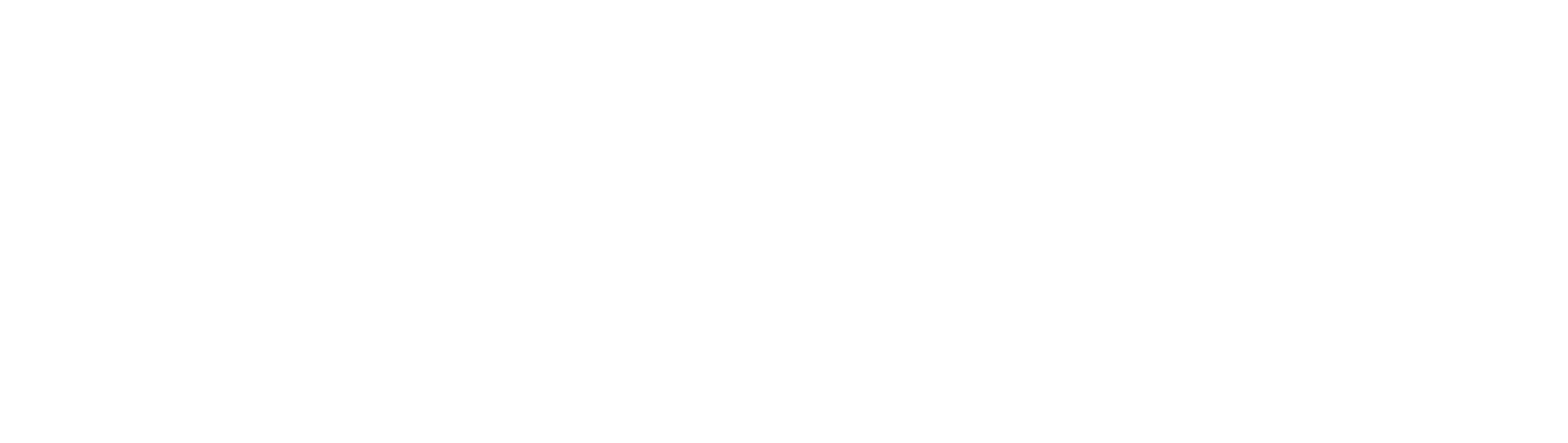 DOT PLAN