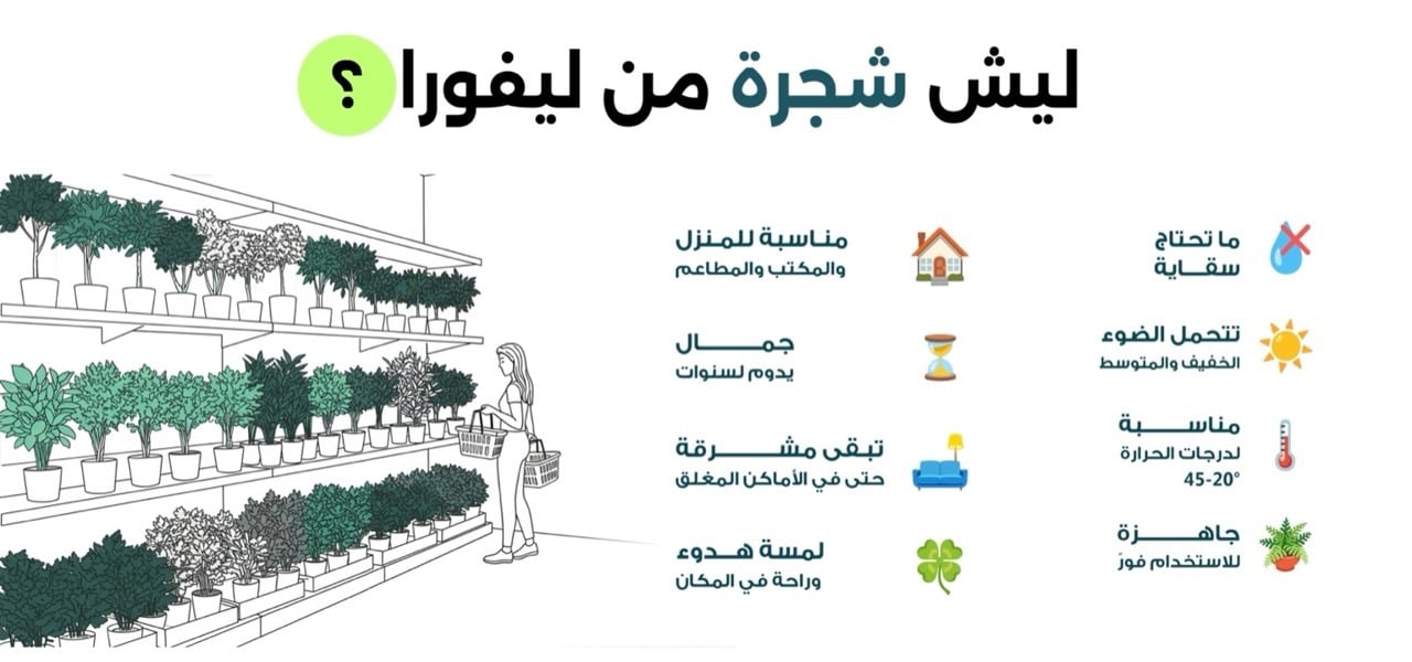 لبيت أكثر هدوءاً