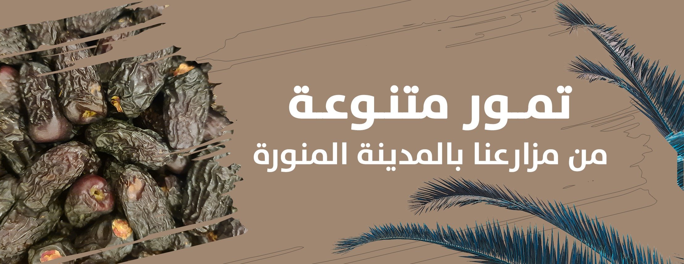 عبدالرحمن التجارية image-slider-2