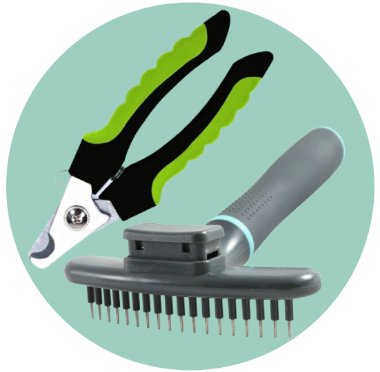 العناية بالشعر والمخالب للكلاب