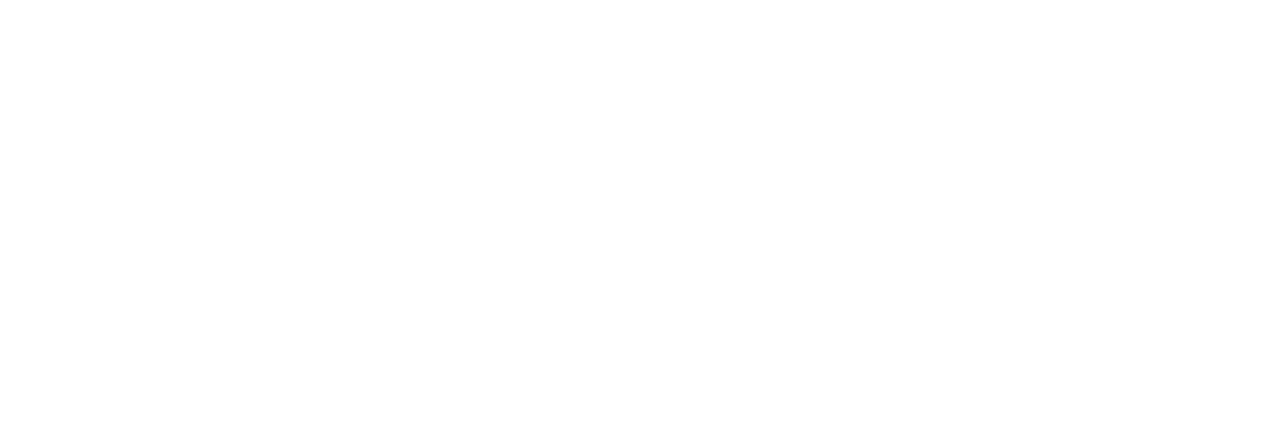ليڤــارس | LEVARES Logo