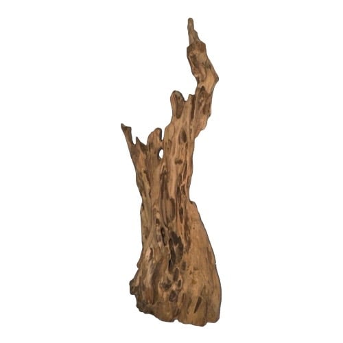 https://cdn.salla.sa/form-builder/YHK8BYAiyifCecWKbGwaoPggVgcBuVQTgCylNJY9.jpg