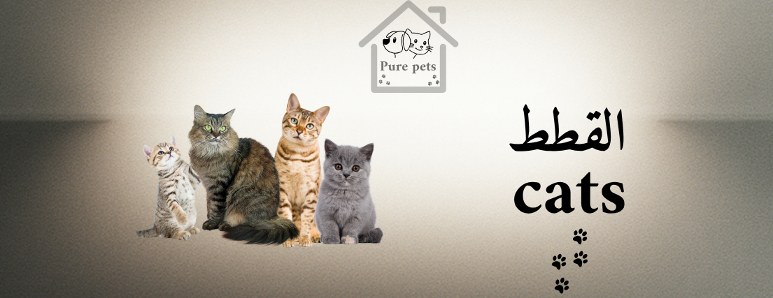 بيور بيتس pure pets image-slider-0