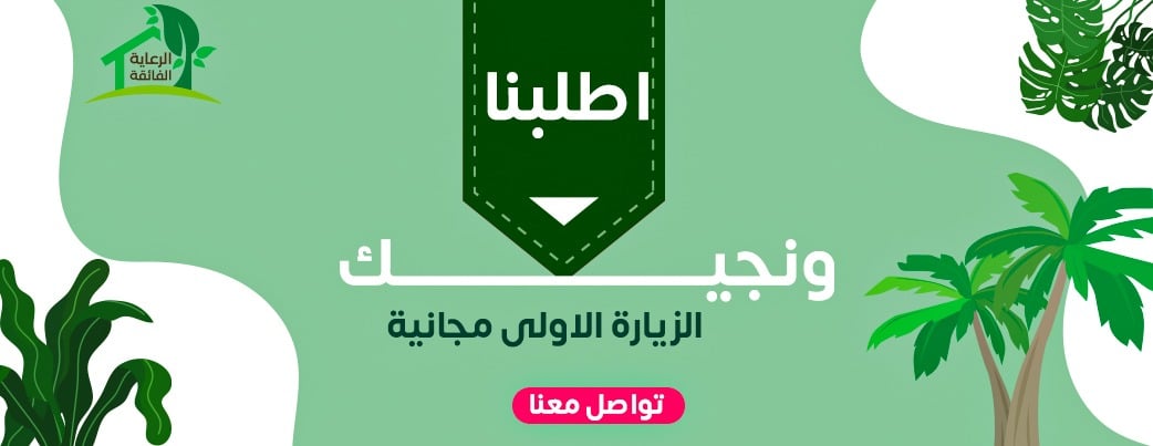 الرعاية الفائقة لتنسيق الحدائق image-slider-1