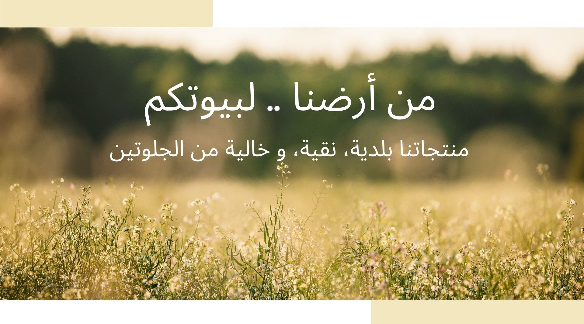 fixed banner