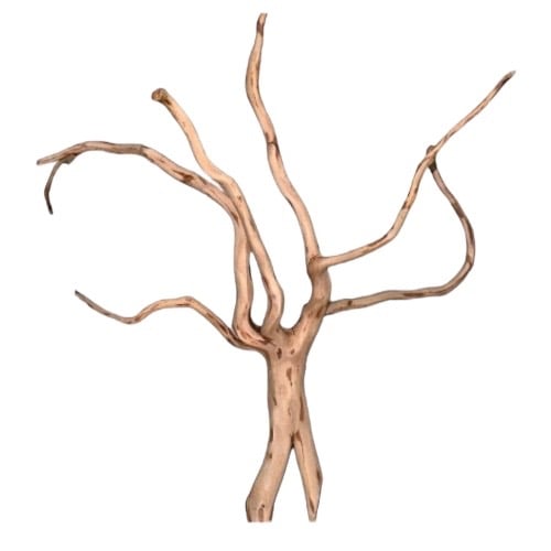 https://cdn.salla.sa/form-builder/YaiPVZVP6xWJE1qT5flYaZBeECOzMwegGs2iRZcf.jpg